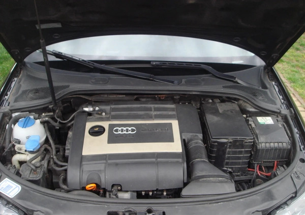 Audi A3 cena 20500 przebieg: 262000, rok produkcji 2005 z Wołomin małe 37